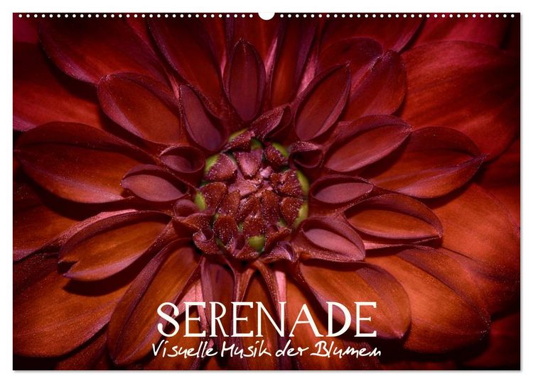 Produktbild: Serenade - Visuelle Musik der Blumen (Wandkalender 2026 DIN A2 quer), CALVENDO Monatskalender