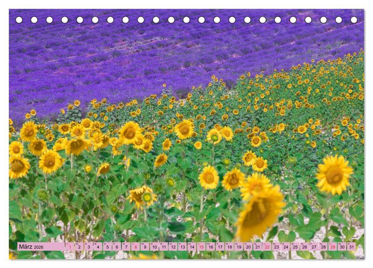 Produktbild: Provence, Lavendelzeit in S&uuml;dfrankreich (Tischkalender 2026 DIN A5 quer), CALVENDO Monatskalender