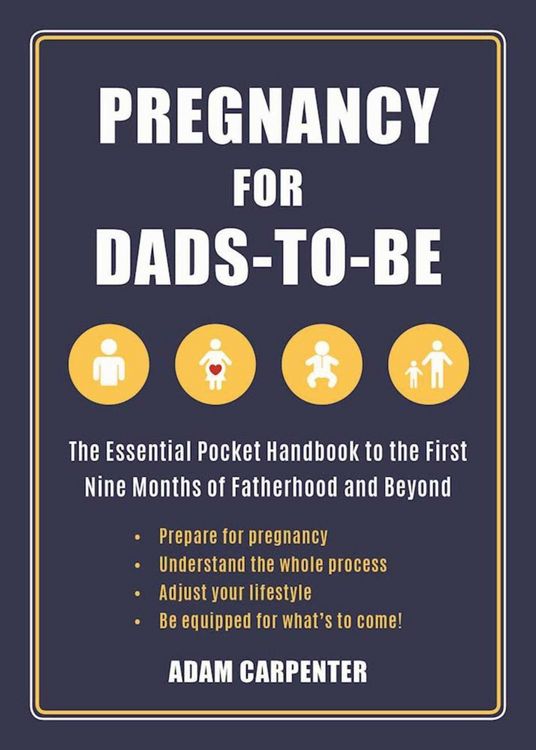 Produktbild: Pregnancy for Dads-To-Be: The Essential Pocket Handbook to the First Nine Months of Fatherhood and Beyond