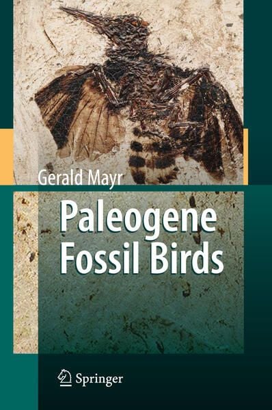 Produktbild: Paleogene Fossil Birds