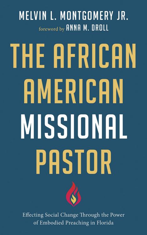 Produktbild: The African American Missional Pastor