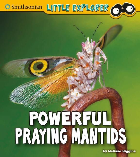 Produktbild: Powerful Praying Mantids