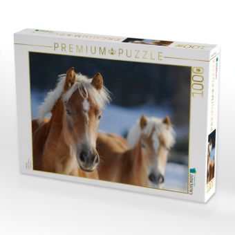 Produktbild: CALVENDO Puzzle Haflinger | 1000 Teile Lege-Gr&ouml;&szlig;e 64x48cm Foto-Puzzle f&uuml;r gl&uuml;ckliche Stunden