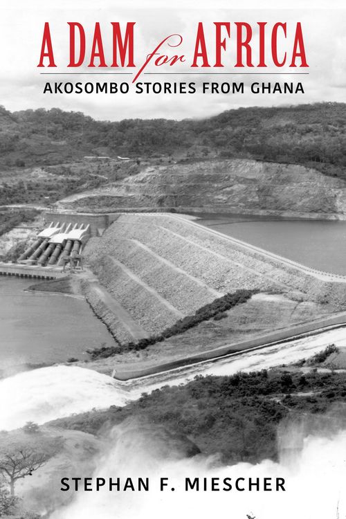 Produktbild: A Dam for Africa