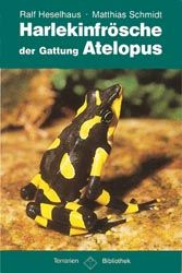 Produktbild: Harlekinfr&ouml;sche der Gattung Atelopus