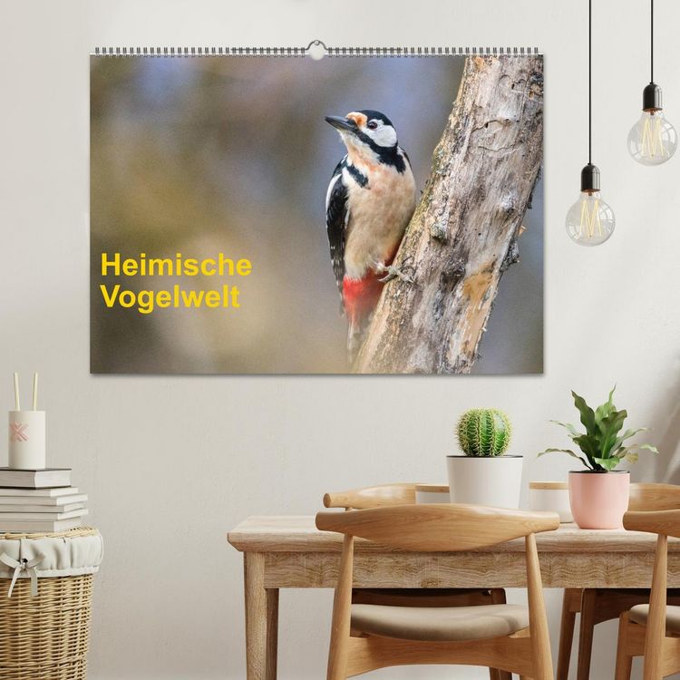 Produktbild: Heimische Vogelwelt (Wandkalender 2026 DIN A2 quer), CALVENDO Monatskalender