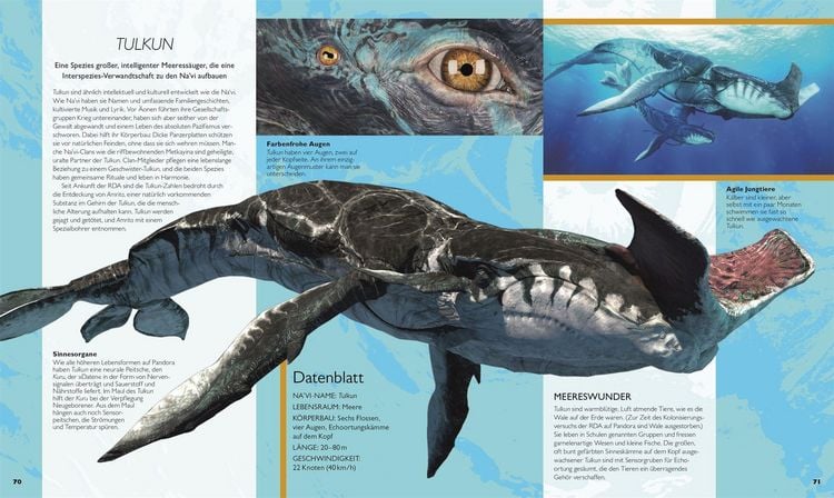Produktbild: Die Welt von Avatar
