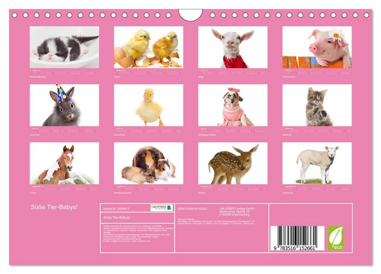 Produktbild: S&uuml;&szlig;e Tier-Babys! (Wandkalender 2026 DIN A4 quer), CALVENDO Monatskalender