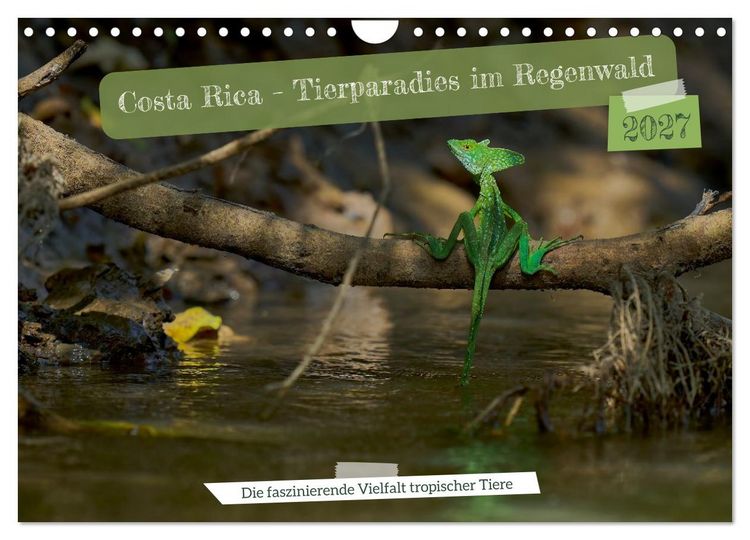 Produktbild: Costa Rica &ndash; Tierparadies im Regenwald (Wandkalender 2027 DIN A4 quer), CALVENDO Monatskalender