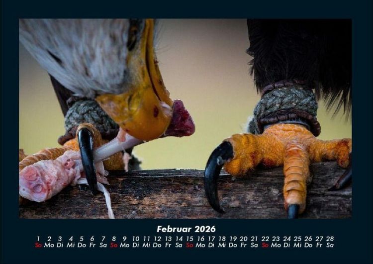 Produktbild: Adler 2026 Fotokalender DIN A4
