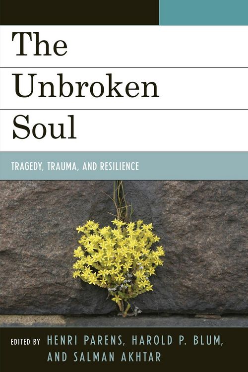 Produktbild: The Unbroken Soul