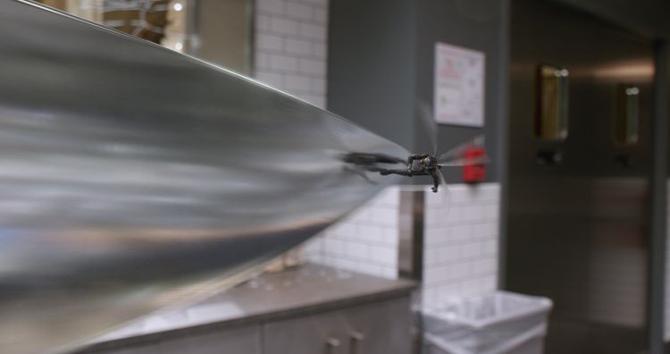 Produktbild: Ant-Man and the Wasp