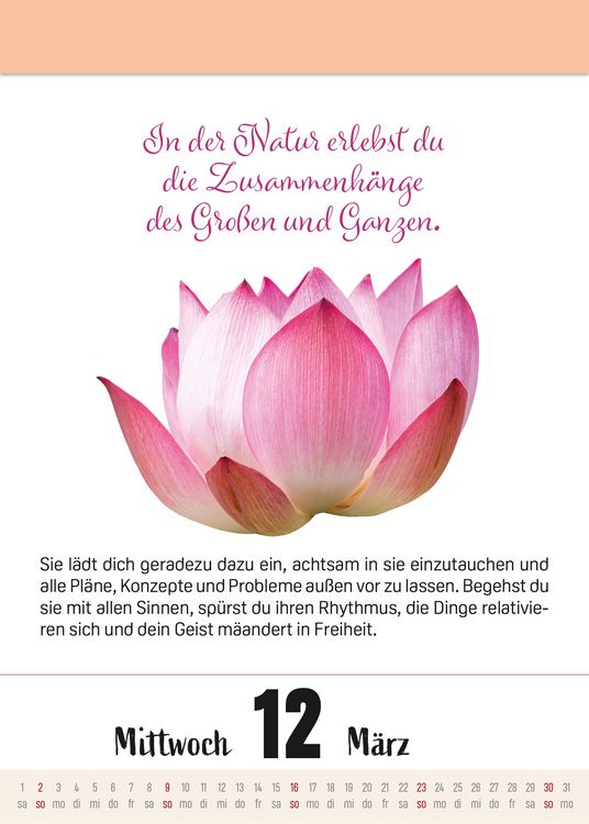 Produktbild: Ein Jahr voller Achtsamkeit Abrei&szlig;kalender 2027 - Abrei&szlig;kalender 2027 mit t&auml;glichen Impulsen & Mantras