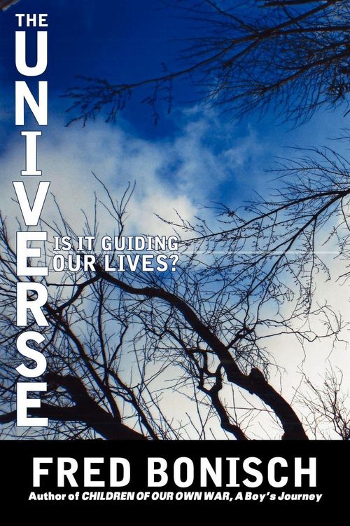 Produktbild: The Universe, is it Guiding Our Lives?