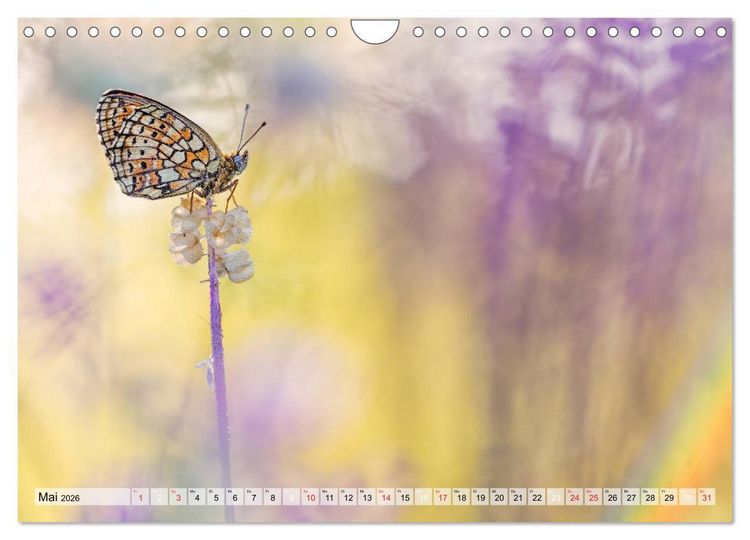 Produktbild: Magie der Schmetterlinge (Wandkalender 2026 DIN A4 quer), CALVENDO Monatskalender