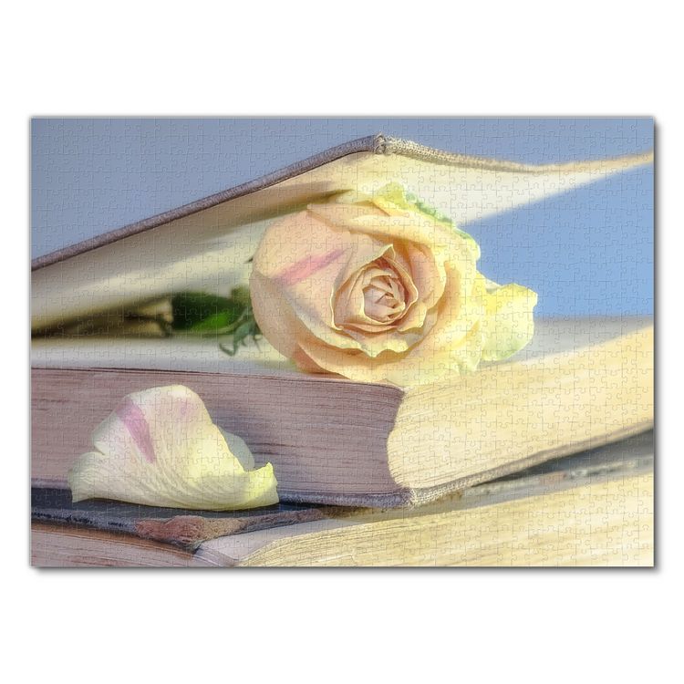 Produktbild: Lais Puzzle Rose in altem Buch 1000 Teile
