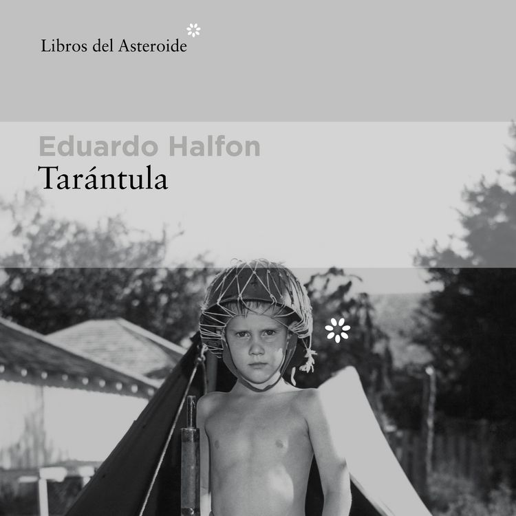 Produktbild: Tar&aacute;ntula