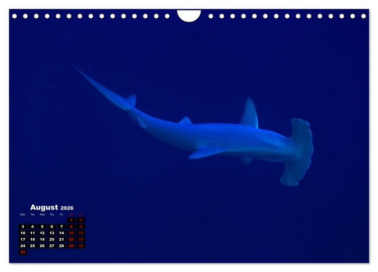 Produktbild: Magical Underwater World (Wall Calendar 2026 DIN A4 landscape), CALVENDO 12 Month Wall Calendar