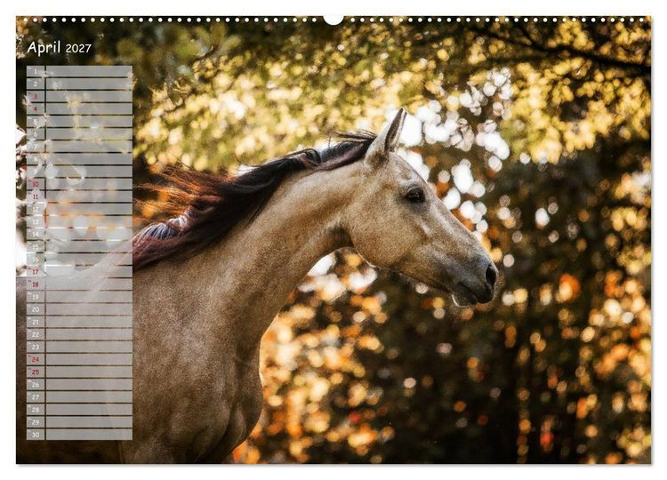 Produktbild: Pferde - Spiegel deiner Seele (Wandkalender 2027 DIN A2 quer), CALVENDO Monatskalender