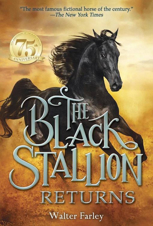 Produktbild: The Black Stallion Returns
