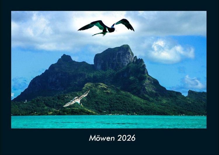 Produktbild: M&ouml;wen 2026 Fotokalender DIN A4