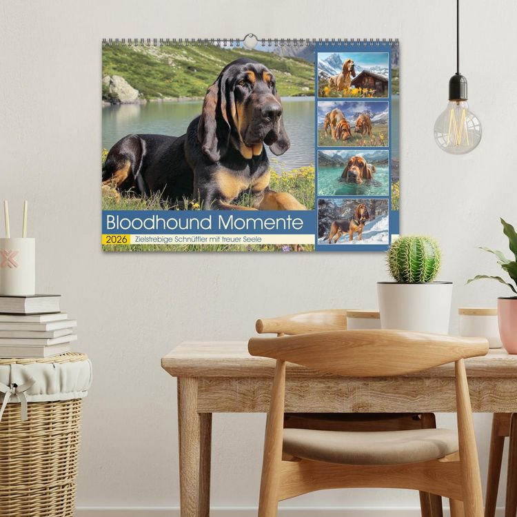 Produktbild: Bloodhound Momente. Zielstrebige Schn&uuml;ffler mit treuer Seele (Wandkalender 2026 DIN A3 quer), CALVENDO Monatskalender