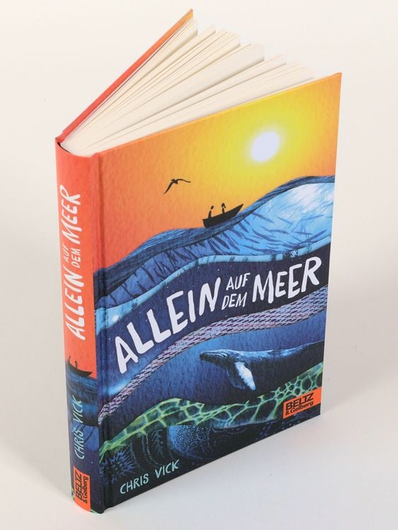 Produktbild: Allein auf dem Meer