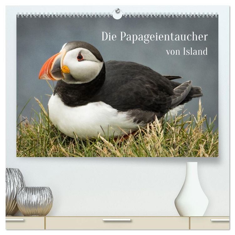 Produktbild: Die Papageientaucher von Island (hochwertiger Premium Wandkalender 2026 DIN A2 quer), Kunstdruck in Hochglanz