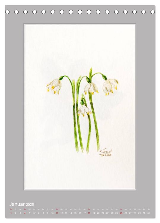 Produktbild: Alpenblumen Aquarelle aus Tirol (Tischkalender 2026 DIN A5 hoch), CALVENDO Monatskalender