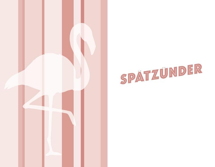Produktbild: Mein erster Schwultag