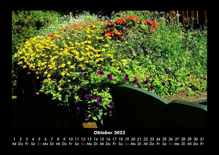 Produktbild: Blumenkalender 2025 Fotokalender DIN A3