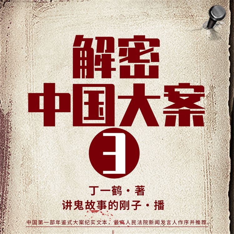 Produktbild: 解密中国大案3