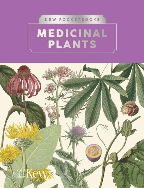 Produktbild: Kew Pocketbooks: Medicinal Plants