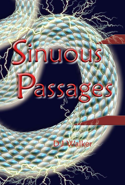 Produktbild: Sinuous Passages