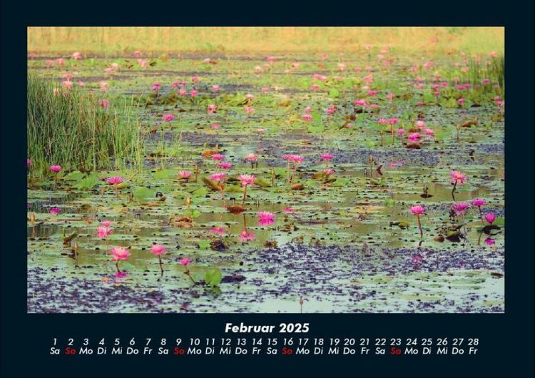 Produktbild: Rosentraum 2025 Fotokalender DIN A4