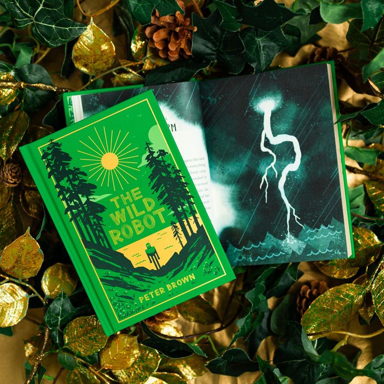 Produktbild: The Wild Robot: Collector's Edition Volume 1