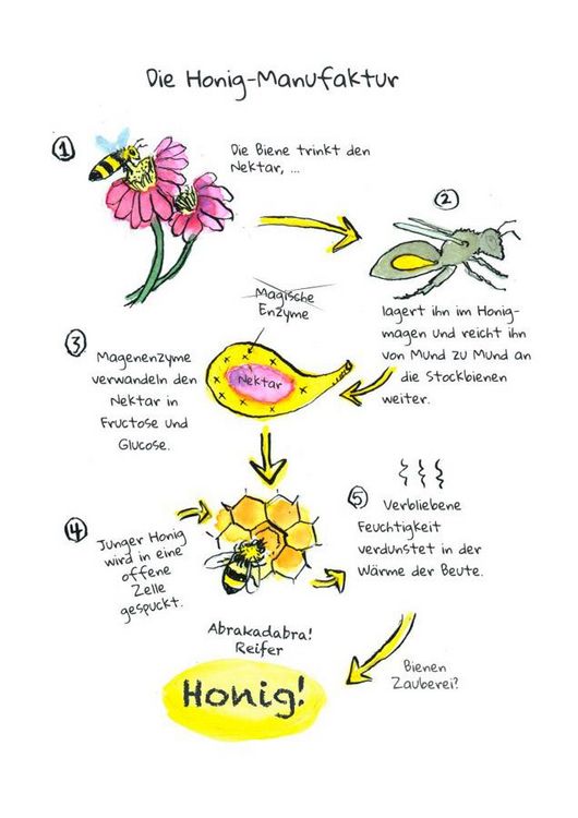 Produktbild: OMG Bees!