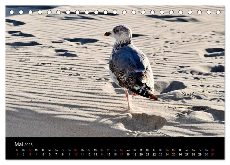 Produktbild: Warnem&uuml;nde - Maritime Landschaften (Tischkalender 2026 DIN A5 quer), CALVENDO Monatskalender