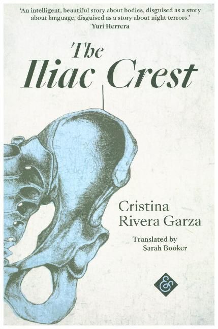 Produktbild: The Iliac Crest