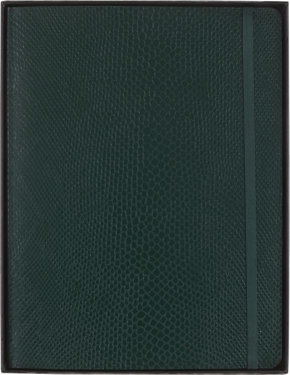 Produktbild: Moleskine Vegea Boa Notizbuch, XL, liniert, weicher Einband, gr&uuml;n, in Box