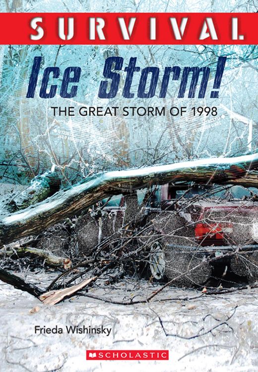 Produktbild: Survival: Ice Storm!