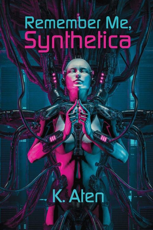 Produktbild: Remember Me, Synthetica