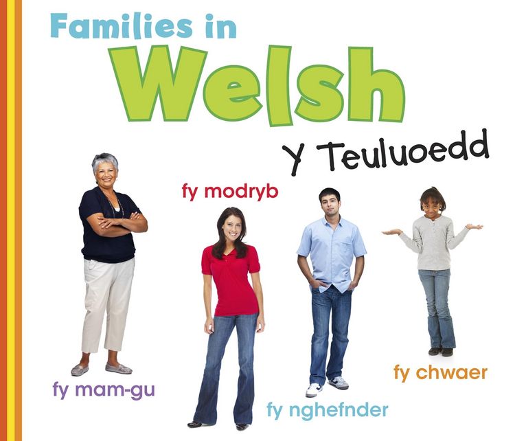 Produktbild: Families in Welsh: Y Teuluoedd
