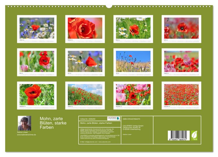 Produktbild: Mohn, zarte Bl&uuml;ten, starke Farben (hochwertiger Premium Wandkalender 2026 DIN A2 quer), Kunstdruck in Hochglanz