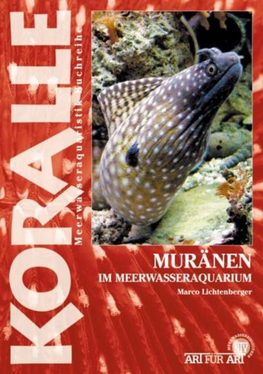 Produktbild: Muränen im Meerwasseraquarium