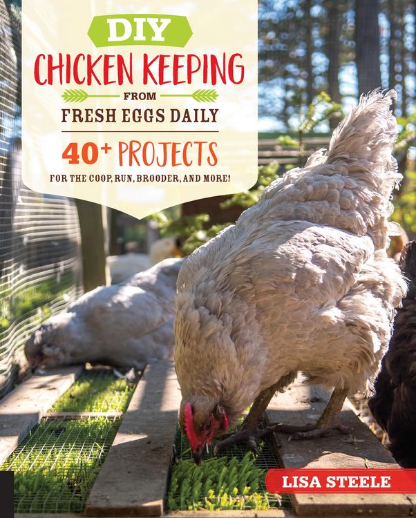 Produktbild: DIY Chicken Keeping from Fresh Eggs Daily