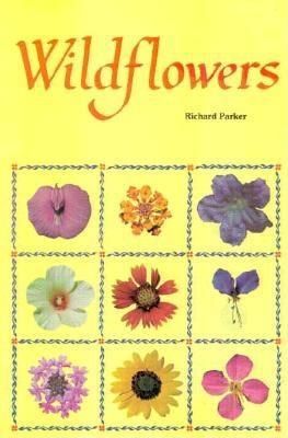 Produktbild: Wildflowers