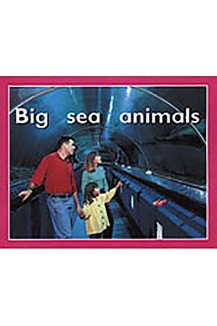 Produktbild: Big Sea Animals