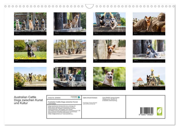 Produktbild: Australian Cattle Dogs zwischen Kunst und Kultur (Wandkalender 2026 DIN A3 quer), CALVENDO Monatskalender