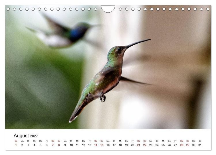 Produktbild: Costa Rica - das Naturparadies (Wandkalender 2027 DIN A4 quer), CALVENDO Monatskalender